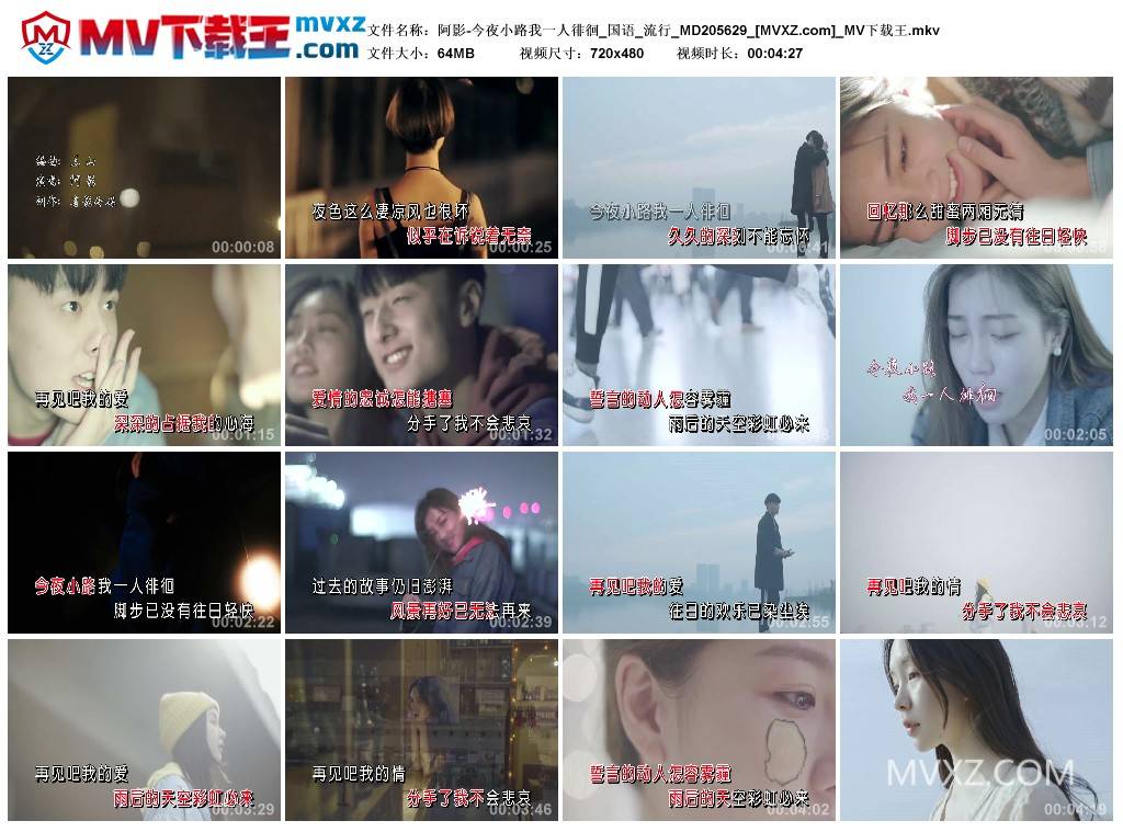 阿影-今夜小路我一人徘徊_国语_流行_MD205629